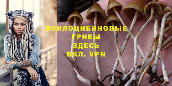 дживик Каменногорск