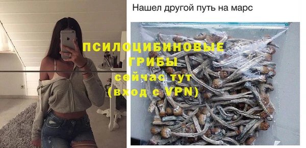 винт Каменск-Шахтинский