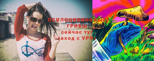 винт Каменск-Шахтинский