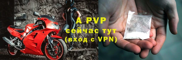 дживик Каменногорск