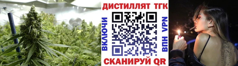 Купить где  Балтийск  ТГК концентрат 