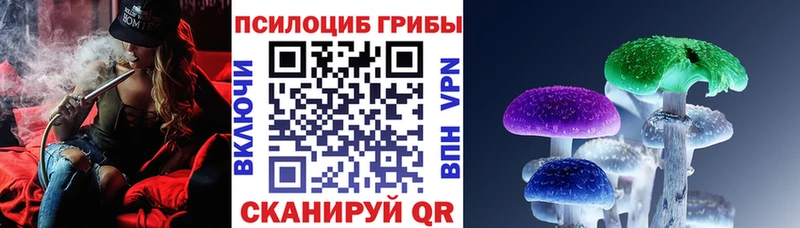 Купить где  Балтийск  Галлюциногенные грибы прущие грибы 